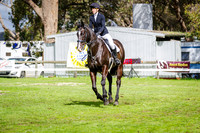 SJ  Velocity Accounting CCI2 Star S