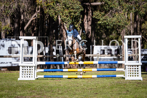 IMGP1899