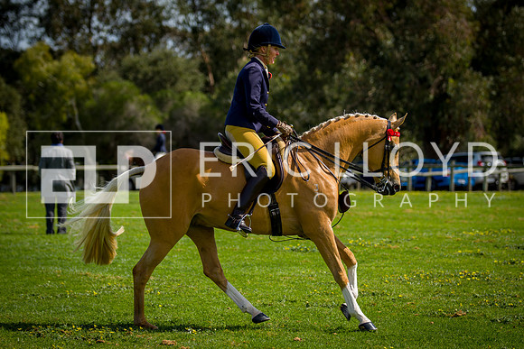 untitled-5016