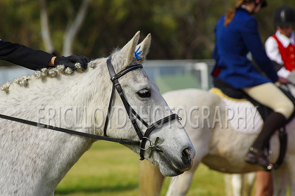 Bev Ag 2014-5094