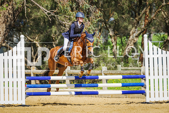 IMGP3969
