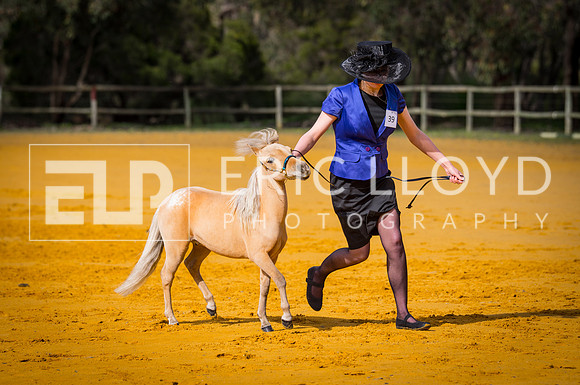 untitled-9722