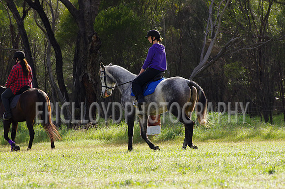 Bev Ag 2014-5082