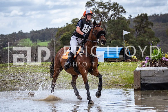 IMGP1865