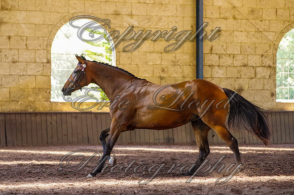 Brookleigh-9927
