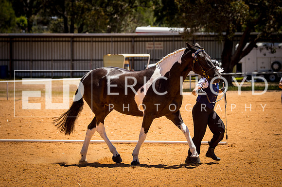 untitled-0265