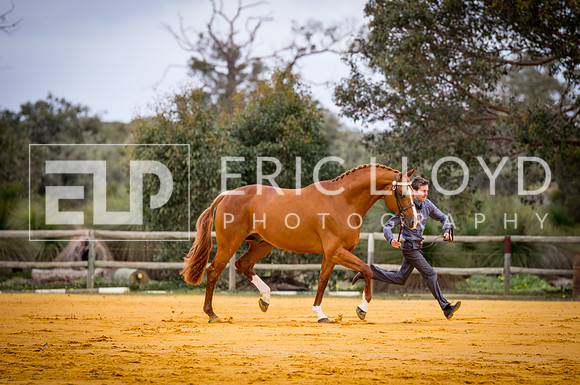 untitled-0602