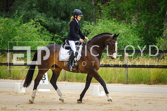 IMGP1104