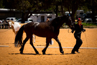 untitled-9631