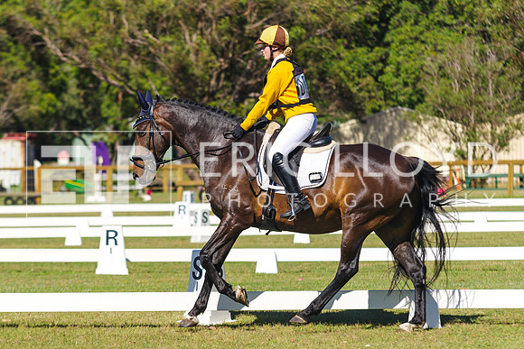 IMGP0524