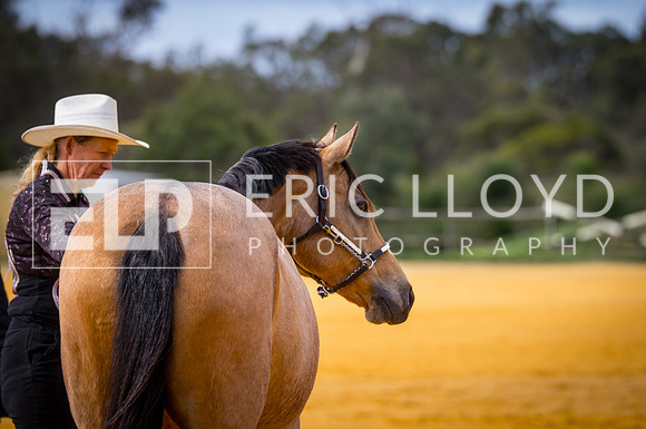 untitled-0070-2