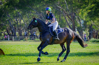 Custom Rosettes & Equine World CCN1 Star -S
