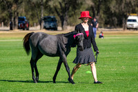 DSCF1026