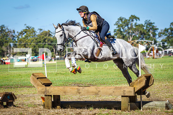 IMGP3331