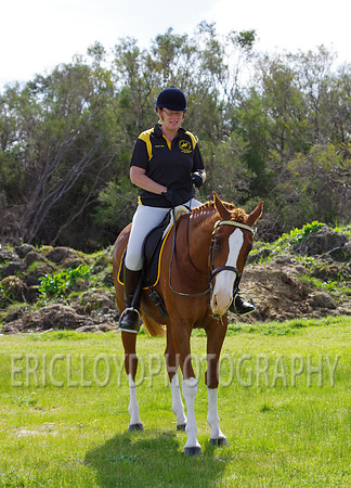 ARCA WH 2014-6588