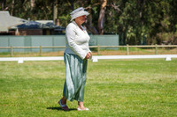 Class 216-218 Champion Welsh Pony of Cob Type Mare