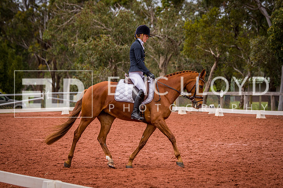 untitled-0956