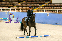Indoors  Poles & Jumps