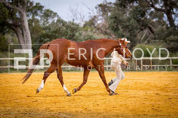 untitled-0624