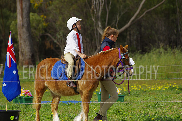 Bev Ag 2014-5108