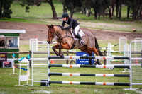 Show Jumping