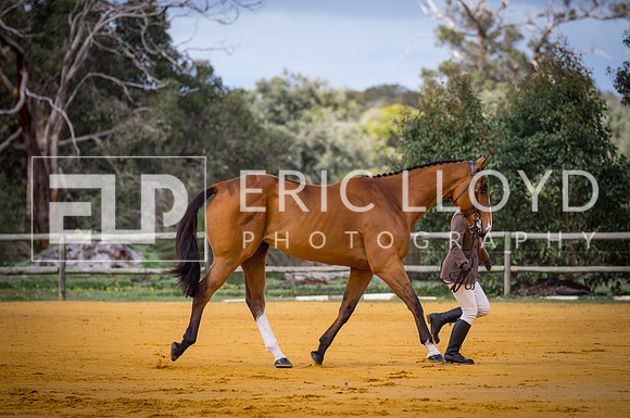 untitled-0557-2