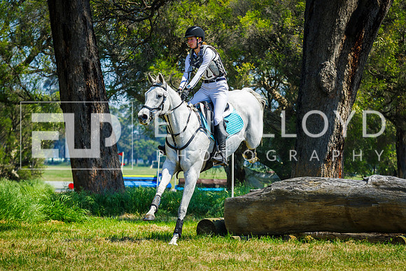 IMGP0667