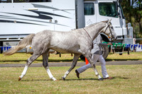 IMGP8178