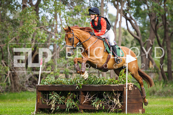 IMGP5695