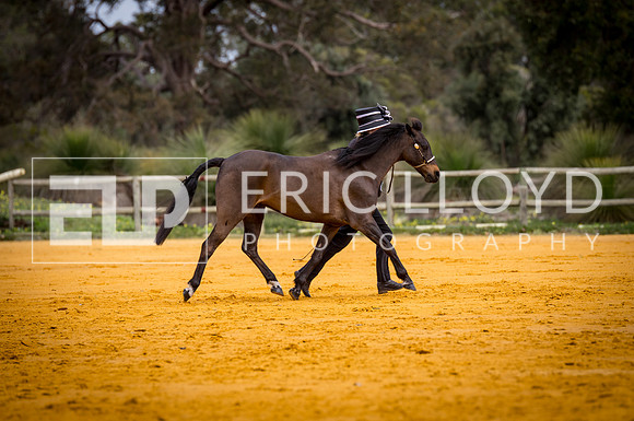 untitled-0638