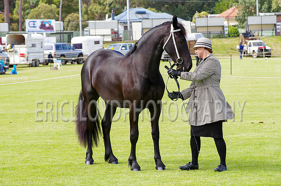 Jess-2470