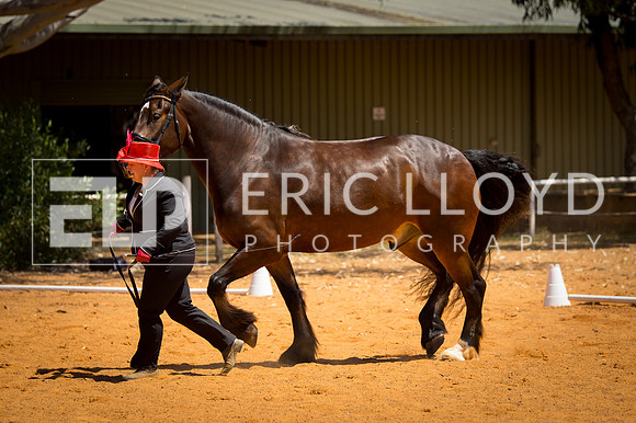 untitled-9536