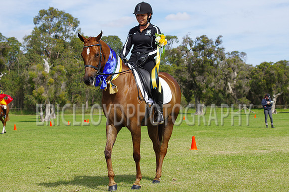 ARCA WH 2014-6635