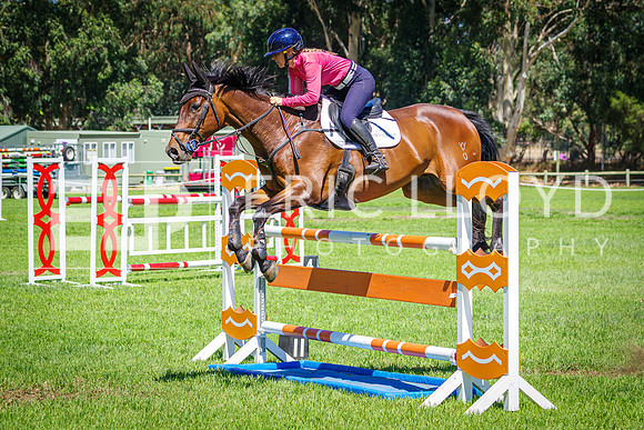 IMGP8284