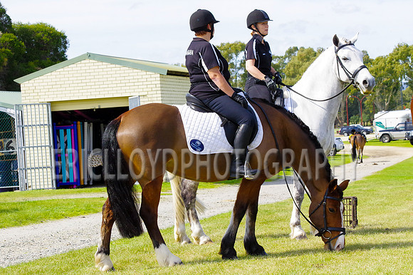 ARCA WH 2014-6604