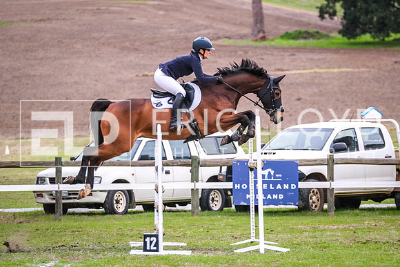 DSCF2328
