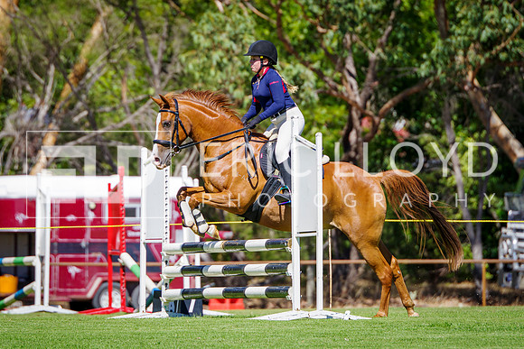 IMGP1366
