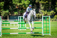 IMGP8260
