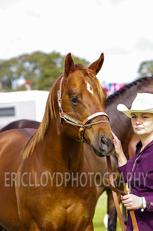 Jess-2458