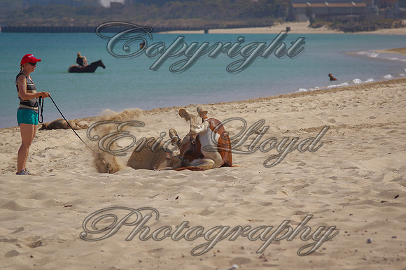 IMJL8174