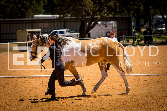 untitled-0249