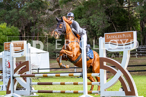 IMGP4879