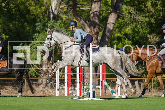 IMGP3960