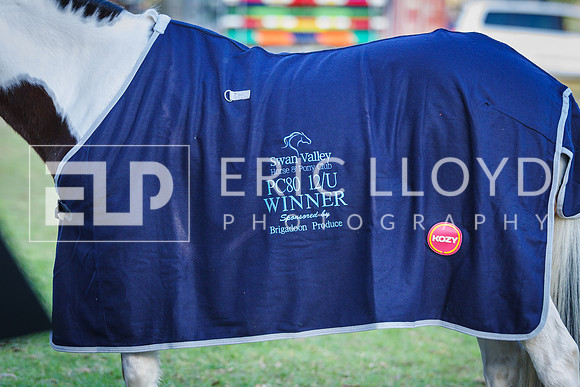 IMGP8842