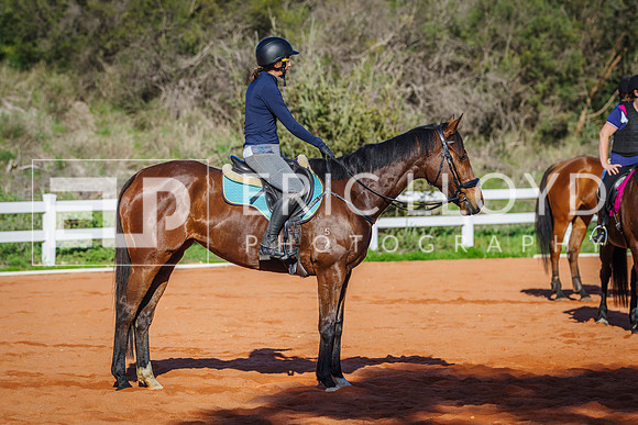 IMGP2425