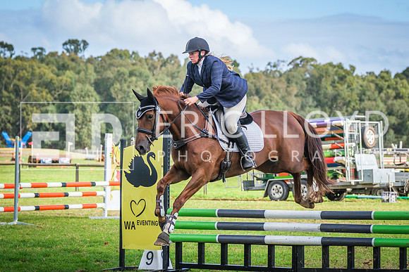 DSCF9126