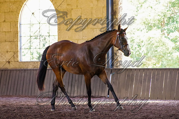 Brookleigh-9920