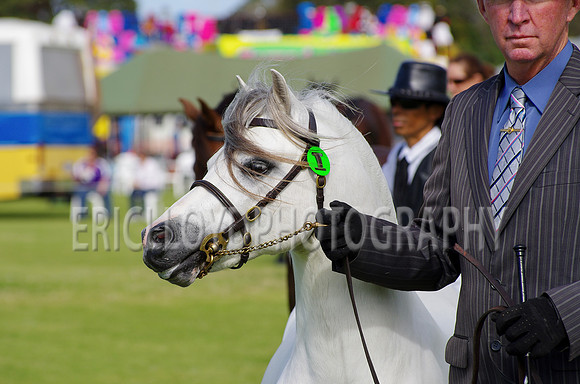 Jess-2419