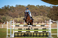 EWAP Brigadoon 1 CCN-S Showjumping