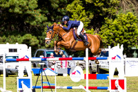 Hygain Feed's Patrons Cup Festival 2016
